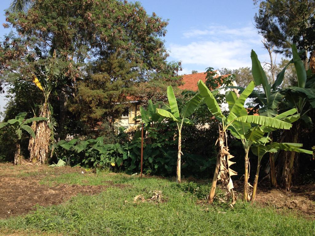Bikeventures House Uganda Hotel Jinja Eksteriør billede